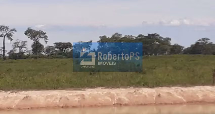 Espetacular fazenda  para plantação de arroz ou soja  localizada no vão paraná estado de goiás
