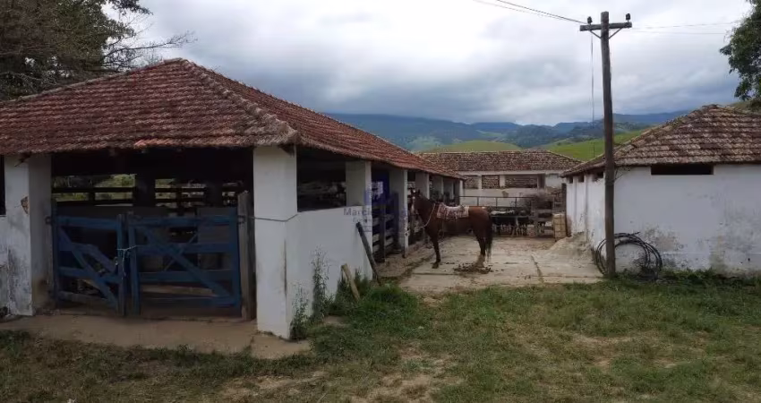 Fazenda com 2 salas à venda na Área Rural de Cruzeiro, Cruzeiro 