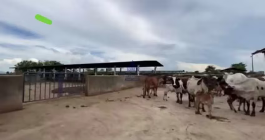 Sítio formado em pindamonhangaba, ideal para confinação de gado