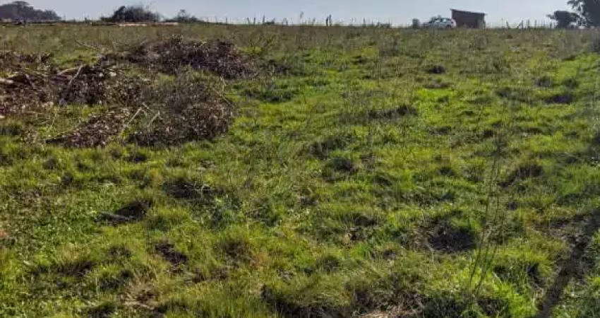 Área rural 28,54 hectares para gado ou plantio - fa1251