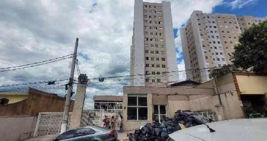 Apartamento à venda 1 Vaga, 10M², JARDIM ADELFIORE, SAO PAULO - SP
