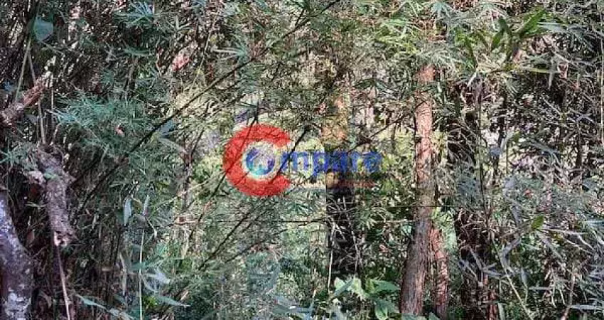 Terreno à venda na Via das Dálias, Jardim Colibri, Embu das Artes