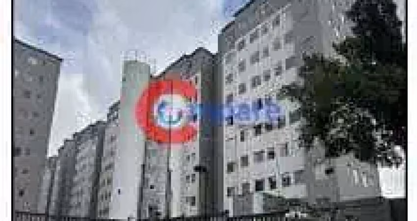 Apartamento à venda na Rua Forte da Ribeira, Parque São Lourenço, São Paulo