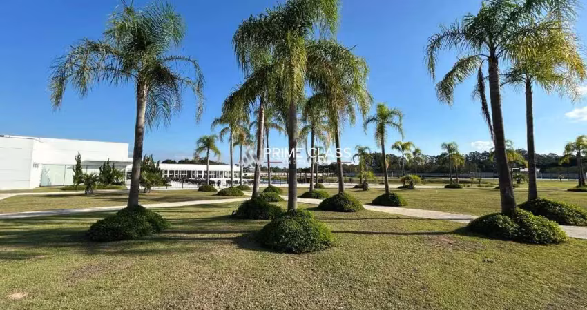 Terreno em condomínio fechado à venda na Amilton da Silva Amorim, 1850, Floresta, Nova Santa Rita