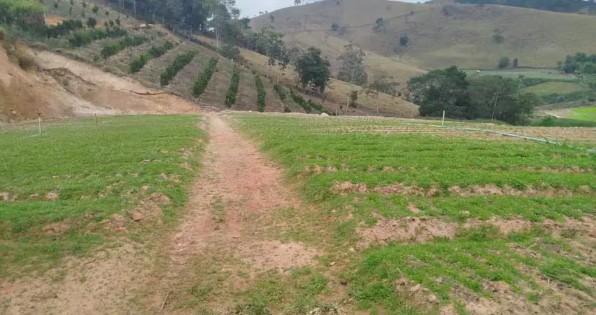 Chácara / sítio com 2 quartos à venda na Extrada Carmelio Rapozo 175, 175, Vila do Pião, Sapucaia
