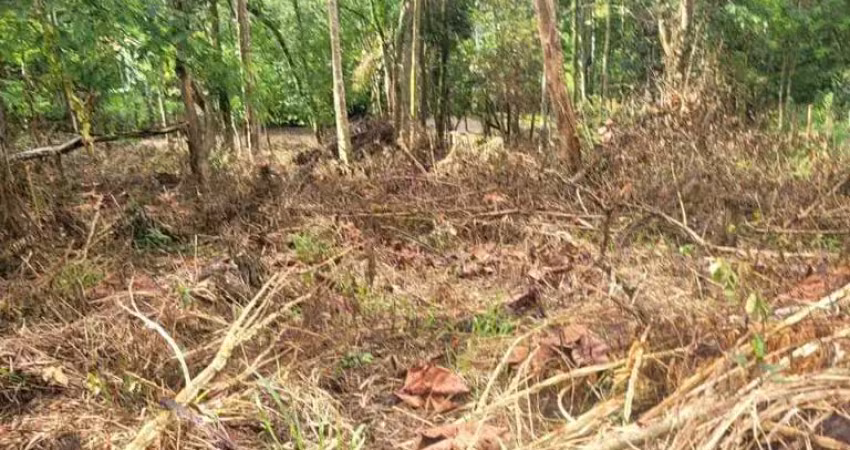 Terreno à venda na Estrada Granja Mafra, 50, Granja Mafra, Teresópolis