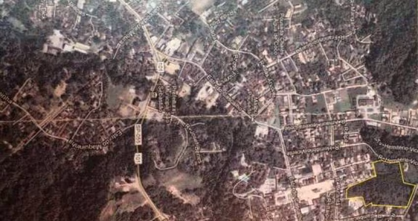 VENDA | TERRENO COM VEGETAÇÃO | 32.000 m² | BOIÇUCANGA | SÃO SEBASTIÃO