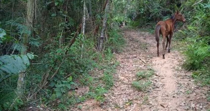 TERRENO 21.000 m² - CAMPO LIMPO PAULISTA R$400.000,00 OPORTUNIDADE