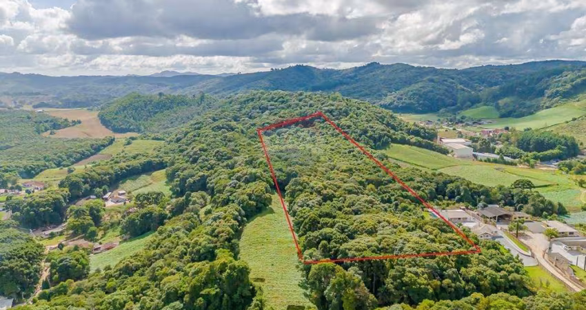 OPORTUNIDADE IMPERDÍVEL – TERRENO RURAL DE 48.000M² EM COLOMBO-PR