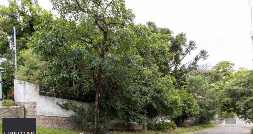 Terreno, 363.78 m², em Vila Conceição, em região elevada e livre de inundações