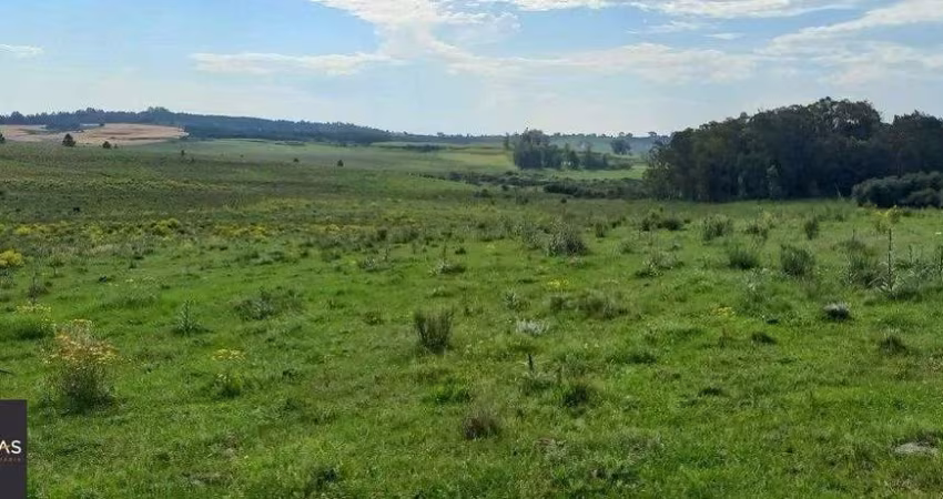 Área Rural de 60.000,00 m² por R$ 260.000,00 na Localidade do Cerro do Chapéu- S