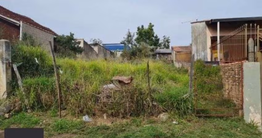 Terreno para Venda - 0m², 0 dormitórios, Tristeza