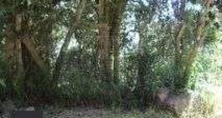 Terreno para Venda - 0m², 0 dormitórios, Belém Novo