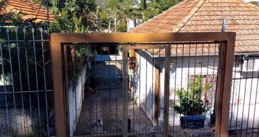 Terreno para Venda - 484m², 0 dormitórios, Cristal, Porto Alegre