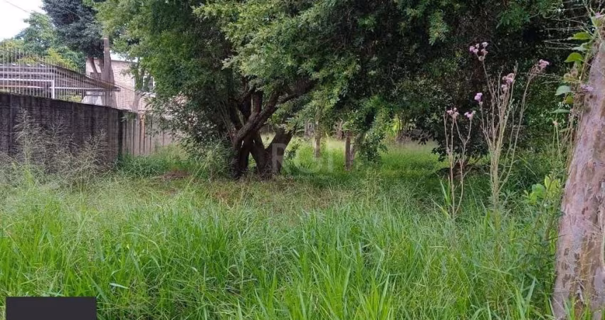 Terreno para Venda - 0m², 0 dormitórios, Tristeza