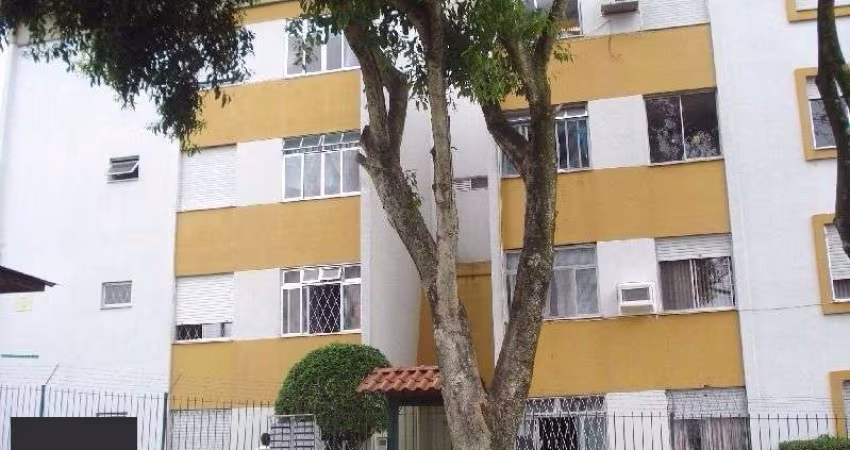 Apartamento para Venda - 66m², 3 dormitórios, 1 vaga - Vila Nova