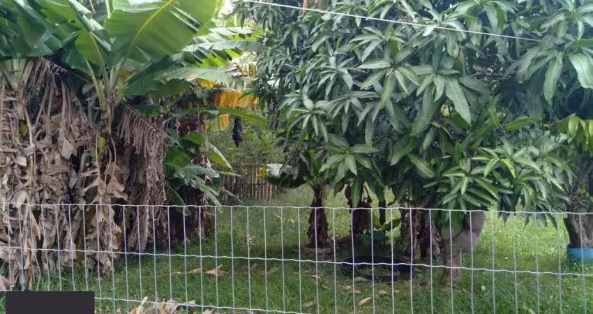 Sítio 3 dormitórios à venda passo do vigário viamão/rs