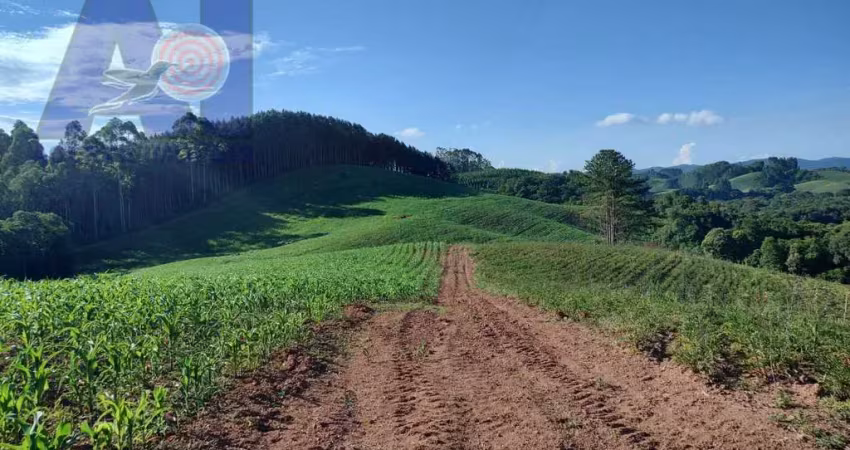 Área à venda em bateias de baixo - campo alegre/sc, rural
