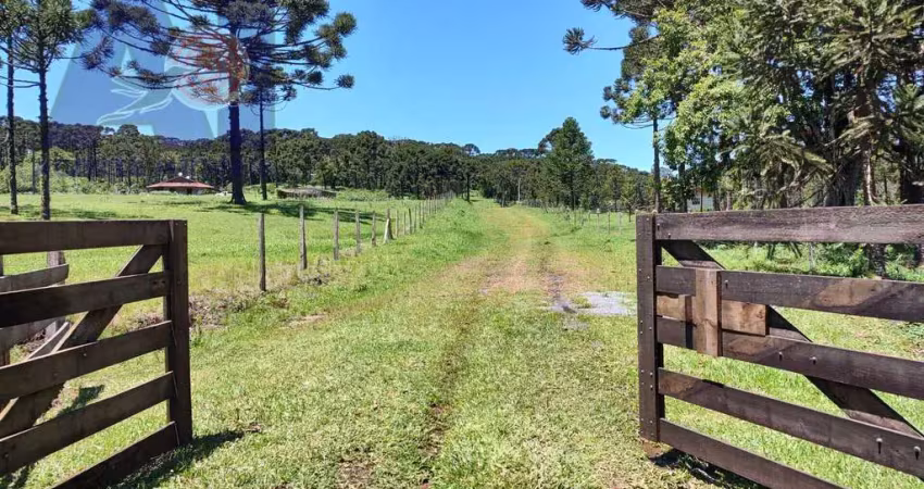 Terreno à venda em São Miguel, Campo Alegre 