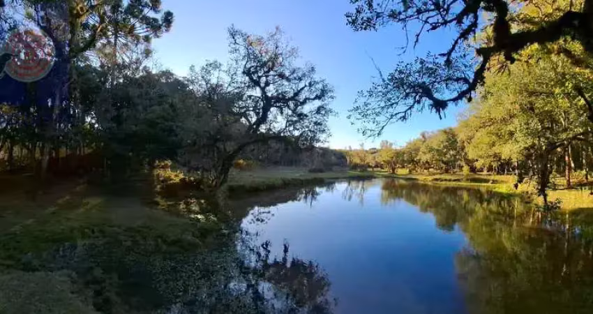 Chácara / sítio com 6 quartos à venda na Estrada Principal do Tarumã, Zona Rural, Agudos do Sul