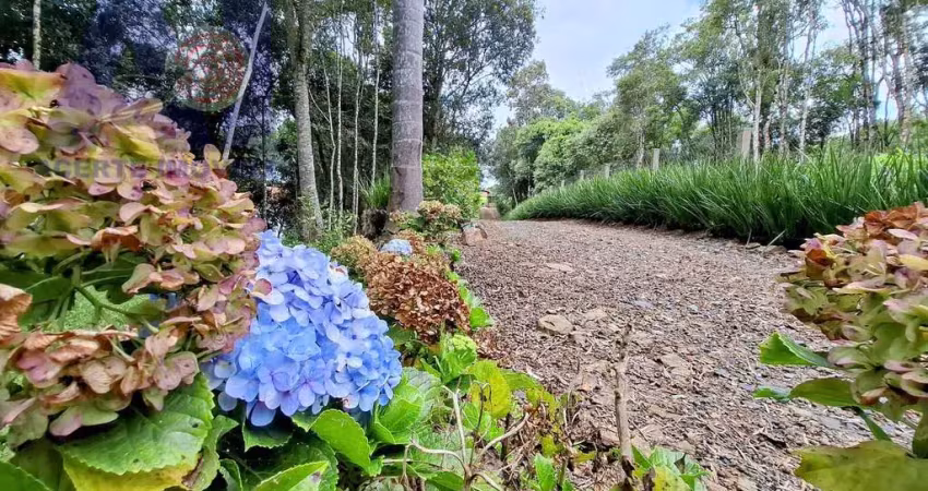 Chácara / sítio com 3 quartos à venda na Estrada secundaria em Bateias de Baixo, Bateias de Baixo, Campo Alegre