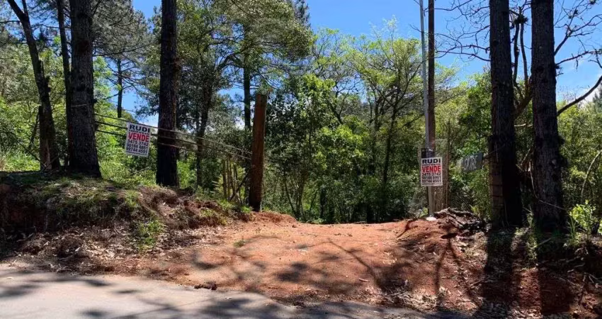 Chácara com 4,6 hectares localizado na rua antônio borges belém velho poa rs.