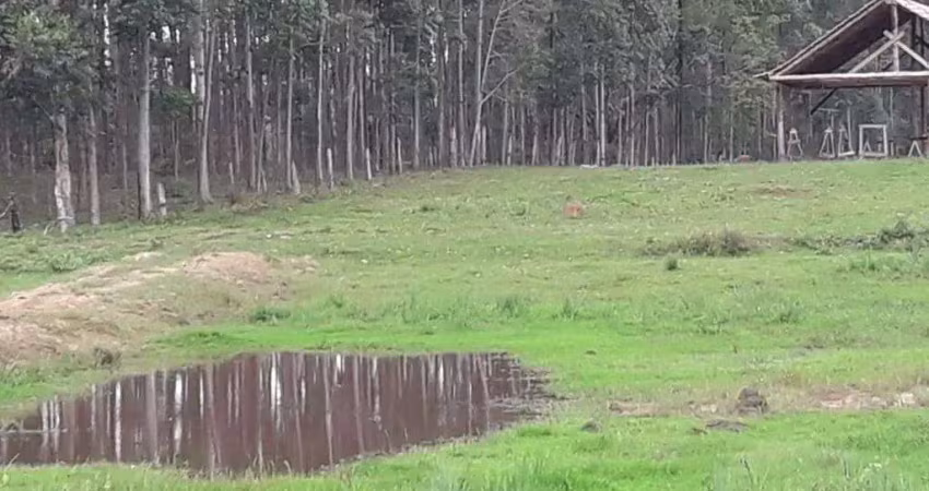 Chácara / sítio com 1 quarto à venda na Estrada porto Sátira,1903 novo hamburgo -RS, --, Lomba Grande, Novo Hamburgo