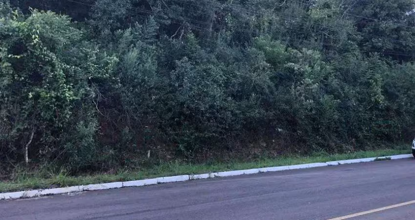 Terreno 12 x 30 metros rua sete de setembro  centro nova santa rita - rs