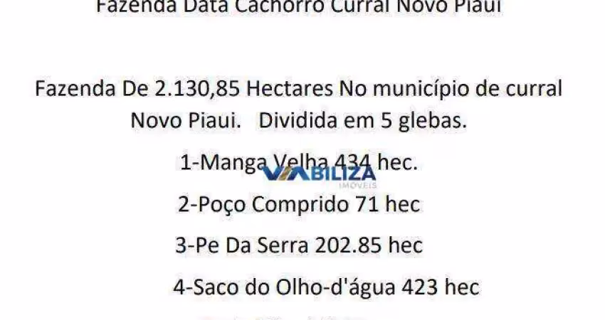 Fazenda no Piaui 2.130 hec para extração de ferro e energia eólica