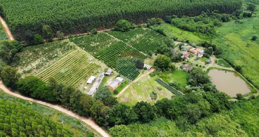 Dupla aptidão sitio  4,7 hec . certificado organico p/ produção  cafe serra negra s.p. , hospedagem e turismo rural