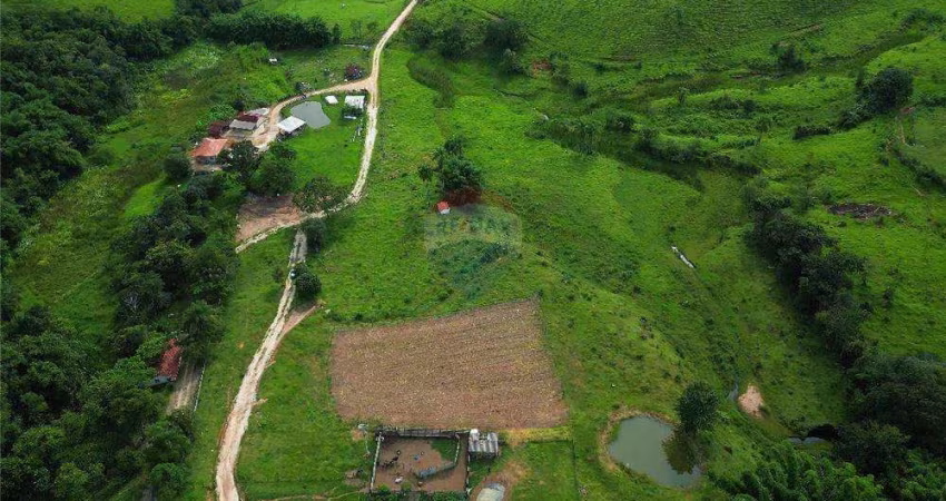 Sítio de 25 Alqueires à Venda em Lindoia/SP - Oportunidade Única no Campo