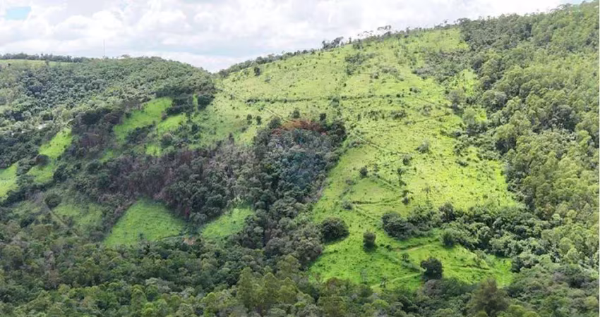 Chácara / sítio à venda na Ponte Preta, Monte Alegre do Sul 