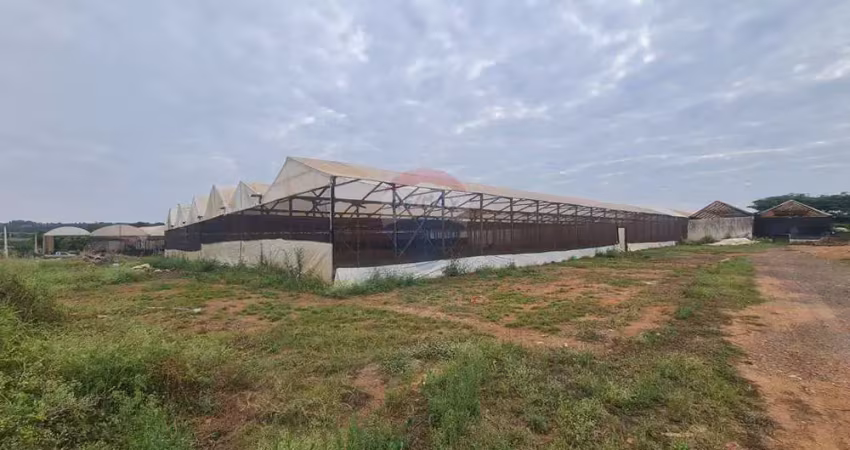 '6 módulos de estufa para locação em artur nogueira, sp'
