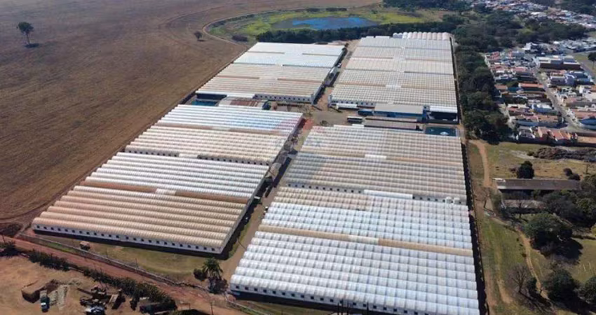 Sítio com estufas para produção de horticultura ou floricultura