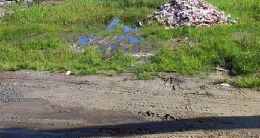 Terreno em Praia para Venda em Pontal do Paraná, Balneário Canoas