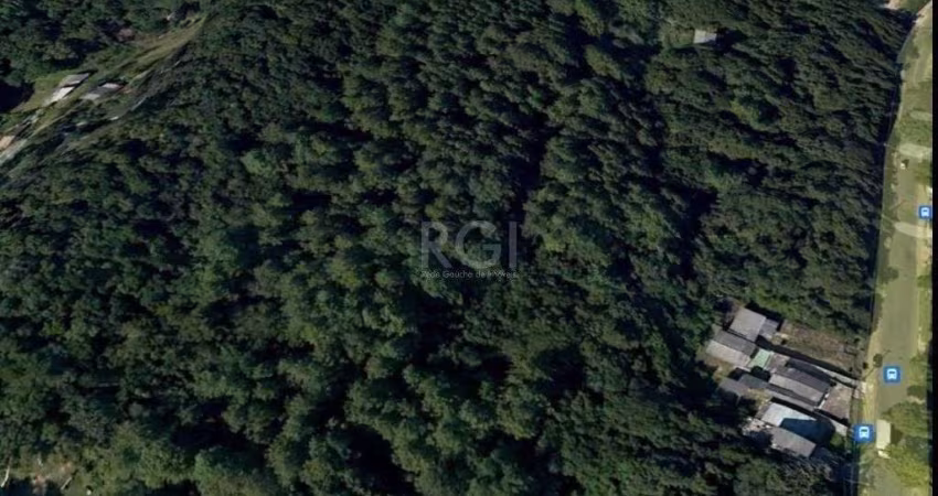 Área para Venda - 70.000m², Lomba do Pinheiro
