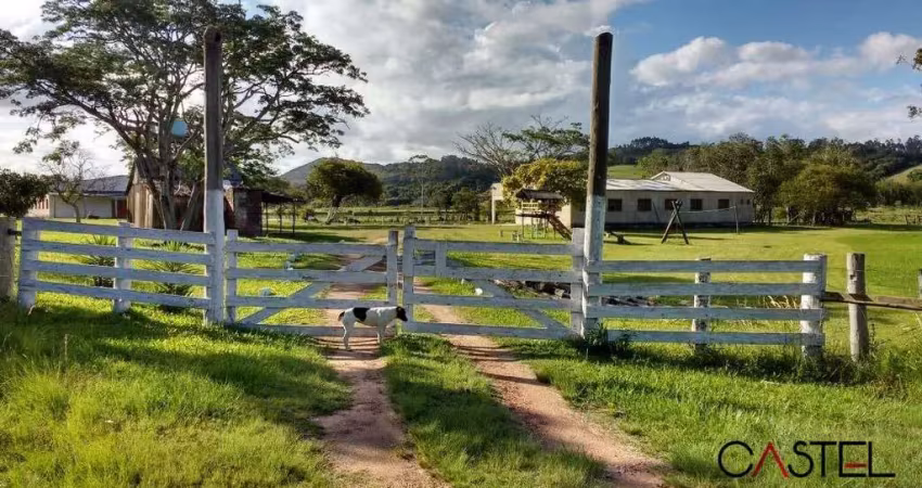 Chácara / sítio com 5 quartos à venda na Avenida Adão Foques, 8000, Passo Fundo, Guaíba