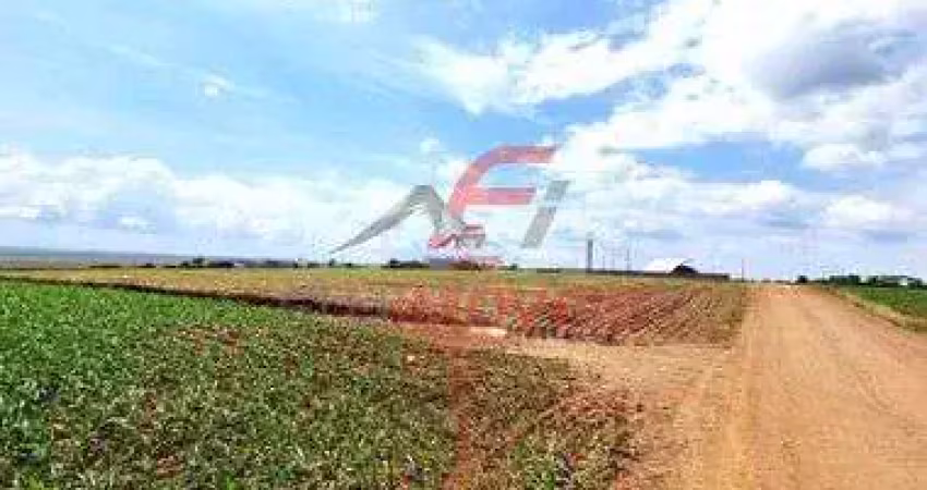 Chacara   propriedade rural    distrito de mandijuba   engenheiro beltrao pr