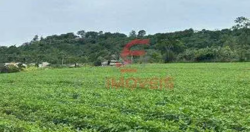 Chacara com 10.000m2 em paicandu   distrito agua boa