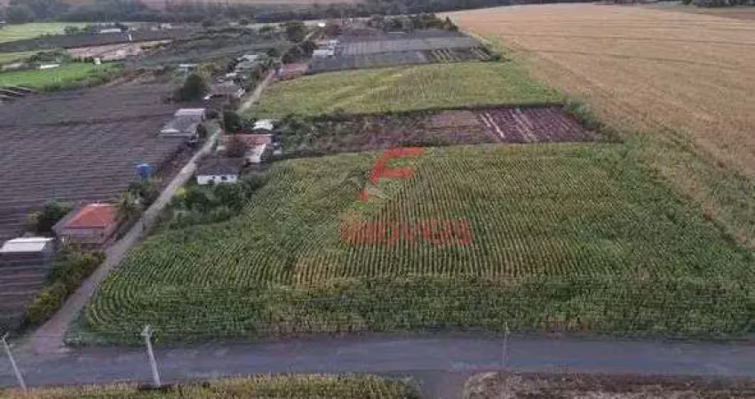 Chácara / sítio à venda na Estrada Carana, Zona Rural, Marialva