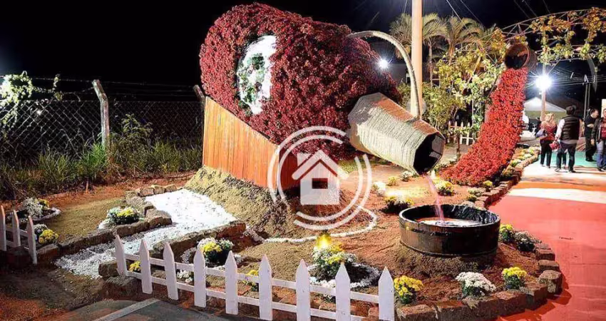 Terreno à venda, 15000 m² por r$ 748.000,00 - santana - piracicaba/sp