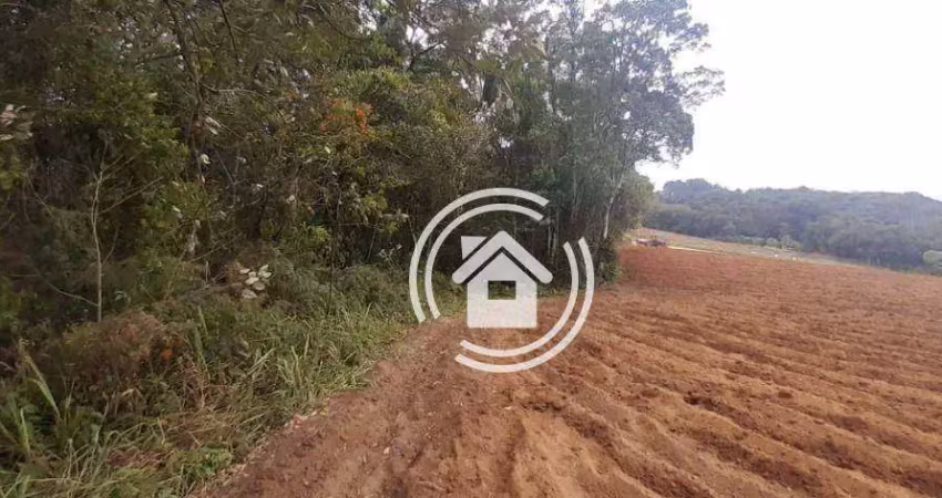 Área à venda, 98000 m² por r$ 500.000,00 - caetezal de cima - piedade/sp