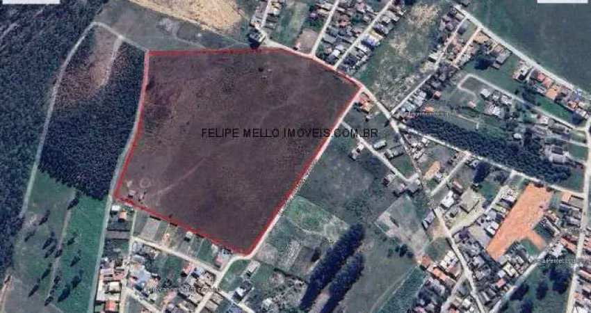 Felipemelloimoveis.com.br vende área perfeita para loteamento ou condominio em nova brasilia, imbituba!