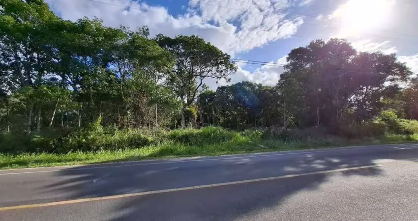 Excelente terreno com 375,00 m², frente avenida asfaltada!
