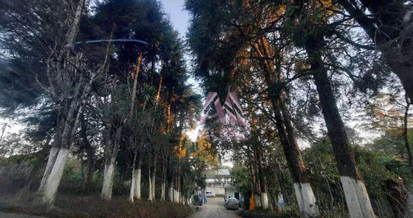 Terreno à venda, 7000 m² por R$ 250.000,00 - Taquacetuba - São Bernardo do Campo/SP