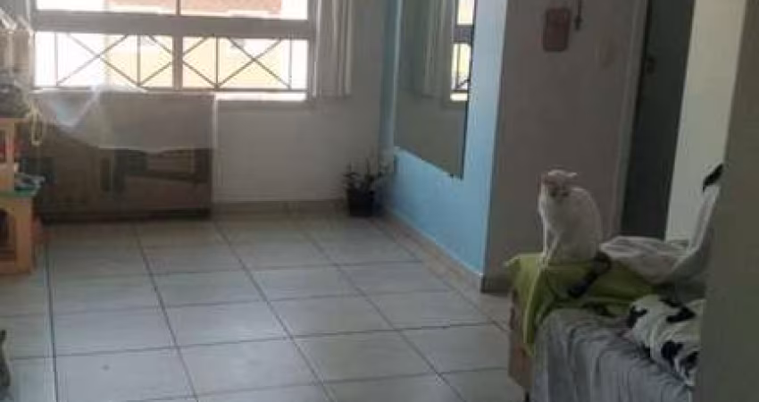 Apartamento com 2 quartos para alugar na Rua Zike Tuma, Jardim Ubirajara, São Paulo