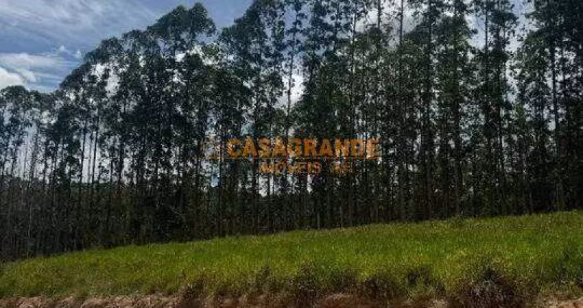 Terreno à venda na Vila Amélia em Bairro Planejado- Zona Sul - 205m²