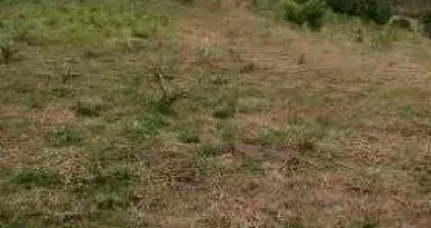 Área à venda, 27000 m² por r$ 3.000.000,00 - quarta divisão - ribeirão pires/sp