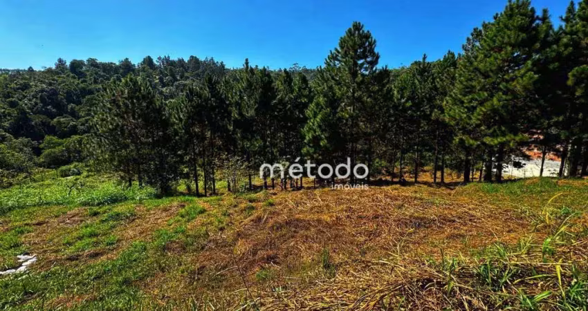 Terreno à venda, 10068 m² por r$ 295.000,00 - ponte alta - guararema/sp