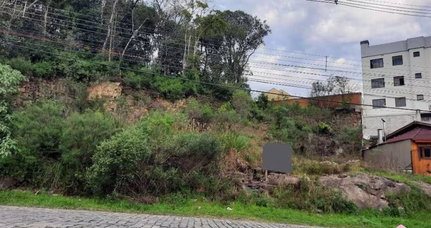Terreno à venda na Cidade Nova, Caxias do Sul 